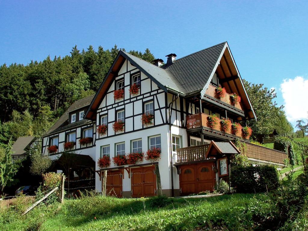 Lauras Landhauspension Medebach Exterior photo